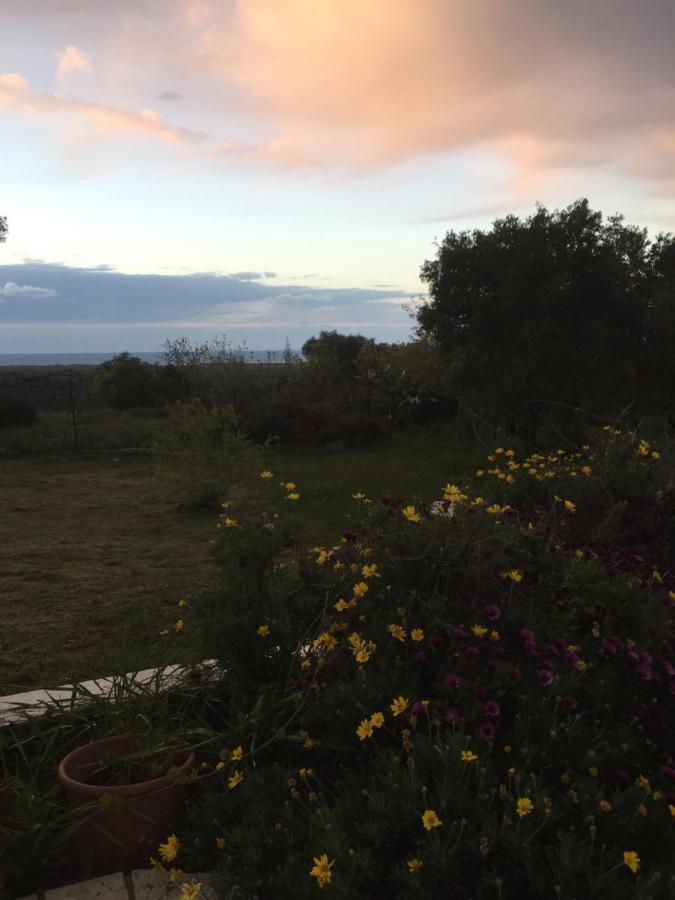 Bed and Breakfast Mareulivi Ostuni Zewnętrze zdjęcie